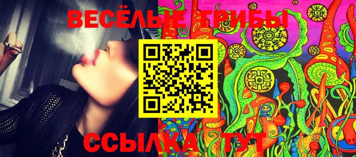 где можно купить наркотик  Вход с VPN  Губкинский  Галлюциногенные грибы Magic Shrooms 